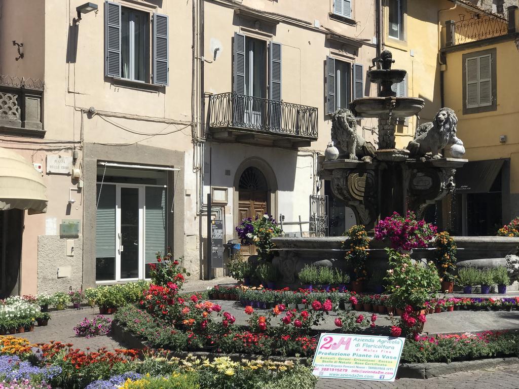 Le Erbe Guest House Viterbo Eksteriør billede
